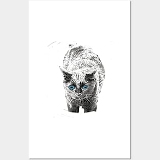 black cat Posters and Art